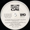 The Family Cat - Remember What It Is That You Love (12'')